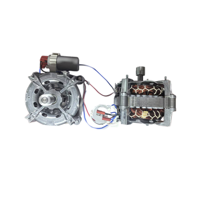 Washing Machine Motor